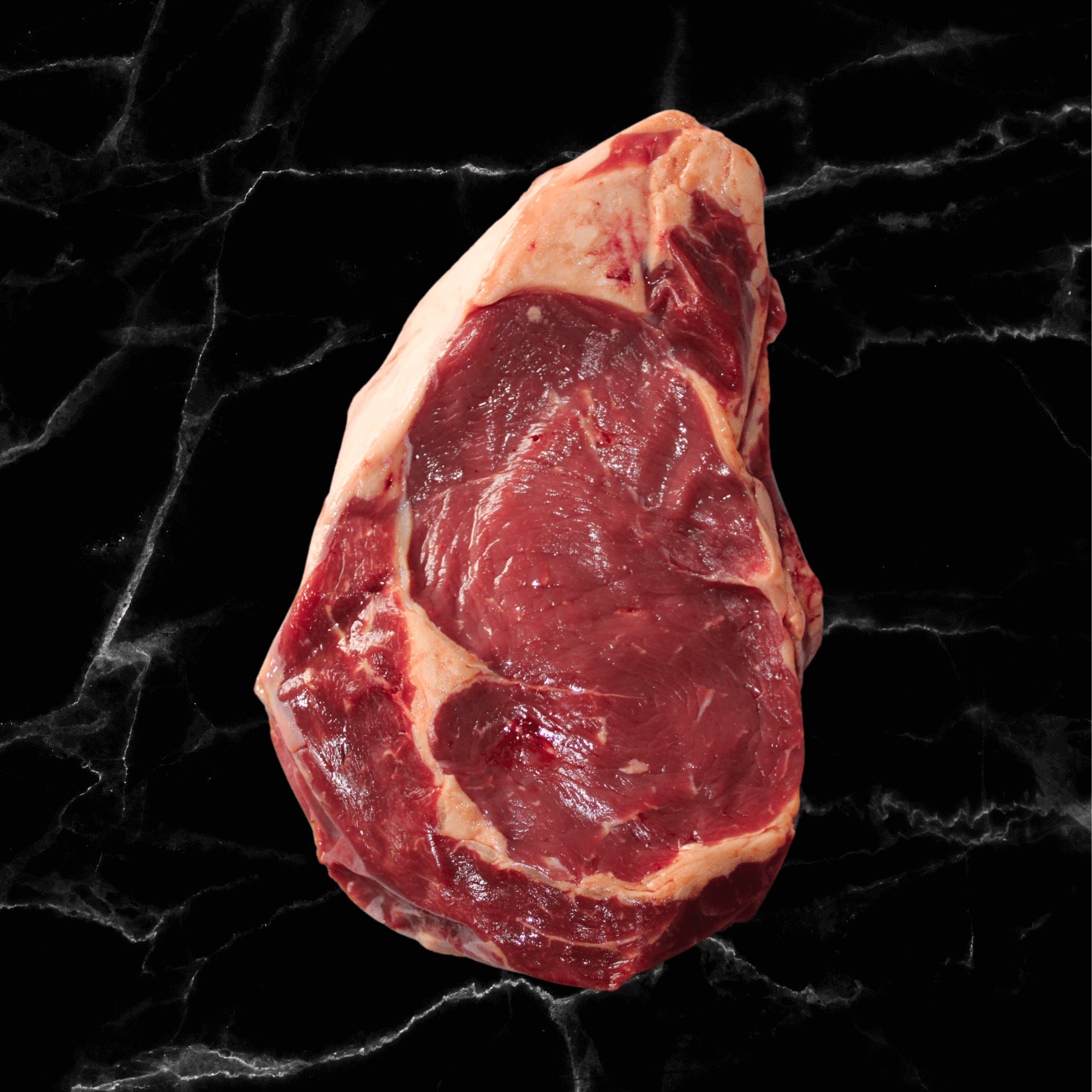 Base + côte à os