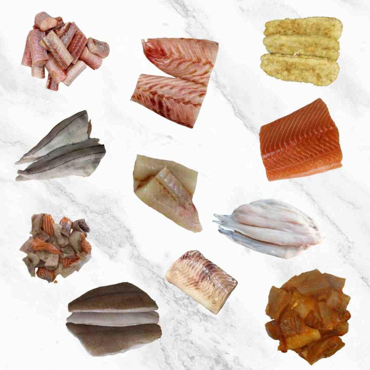 Overzicht Noordzee vispakket 2 personen met zalm