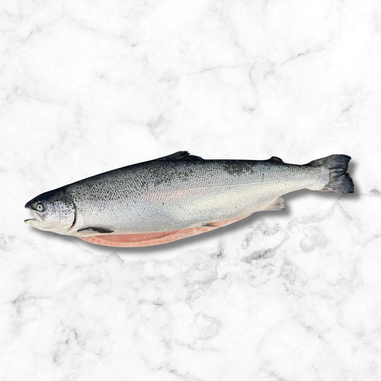 Zalm pakket